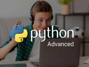 Full Python 兽皇videos极品另类 Course